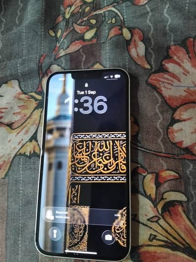 Apple iPhone 13 PTA Approved