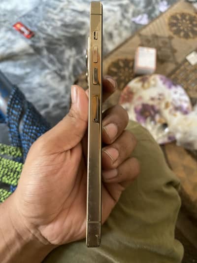 Apple iPhone 13 Pro Max PTA approved