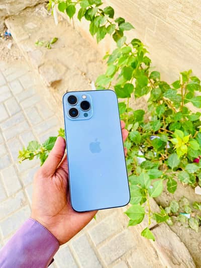 Apple iPhone 13 Pro Max