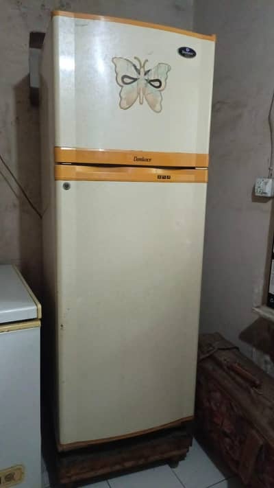 fridge  full size