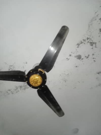 fan 4 sale