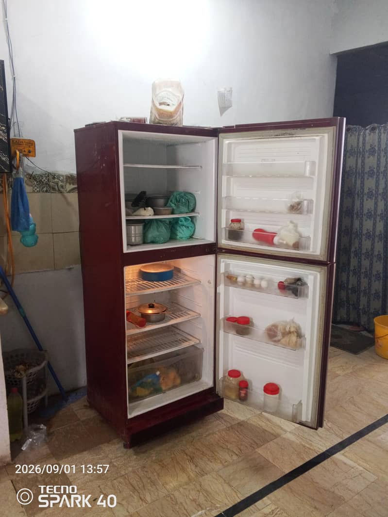 pell refrigerator 1