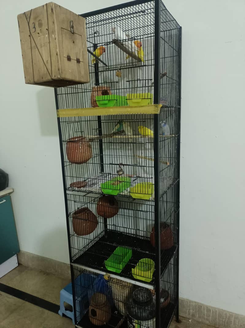 Cages 3