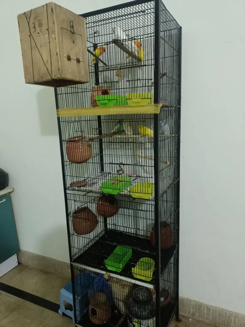 Cages — photo 4