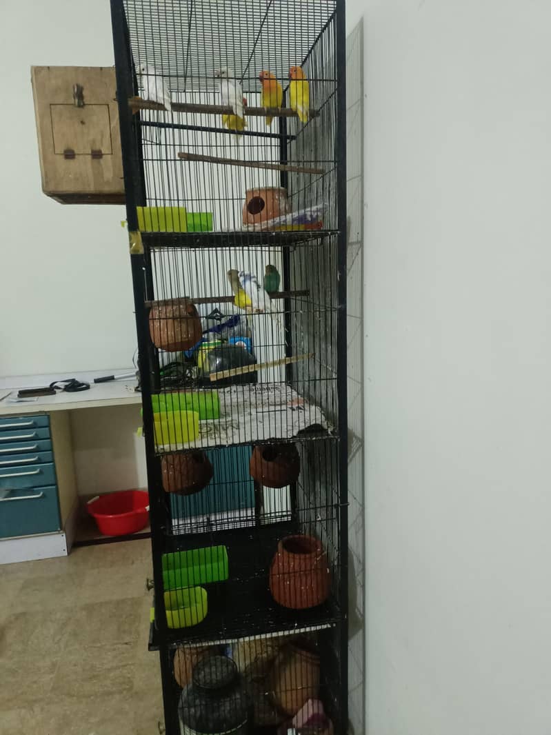 Cages 4