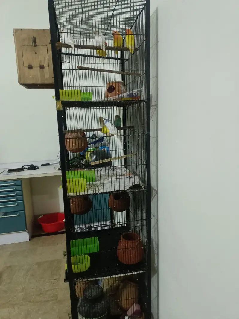 Cages — photo 5