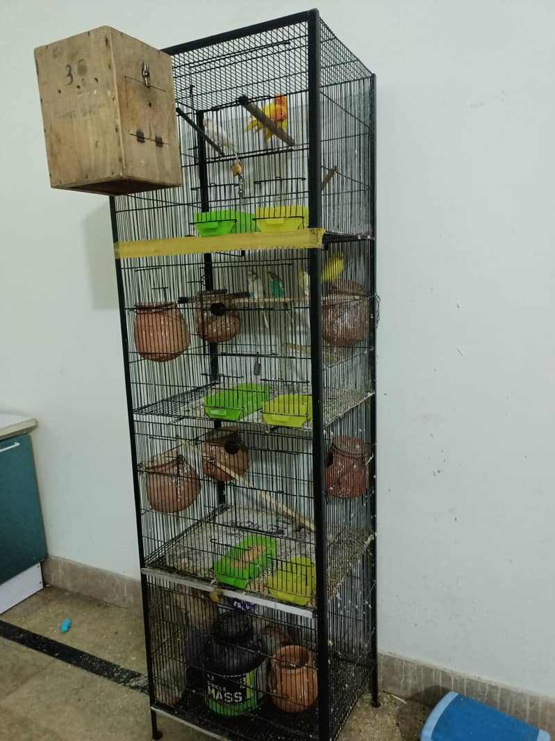 Cages 7
