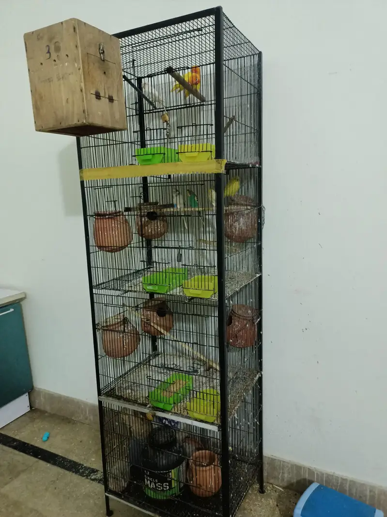 Cages — photo 8