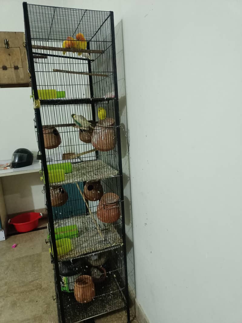 Cages 8