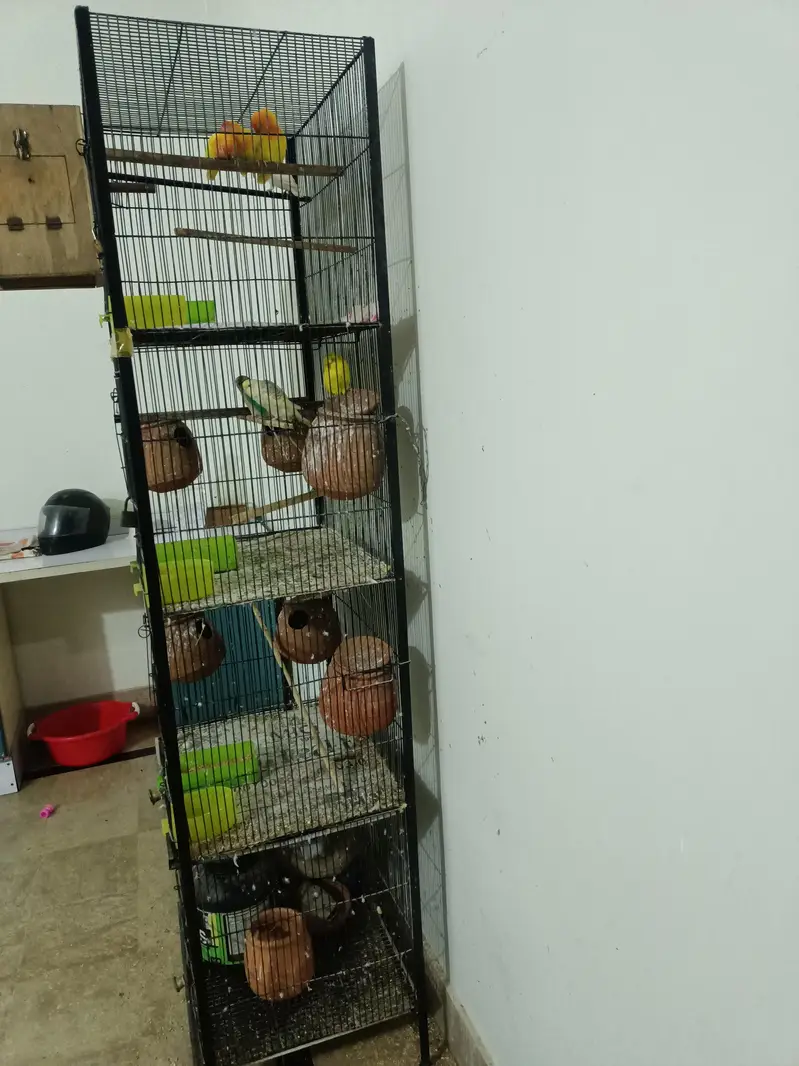 Cages — photo 9