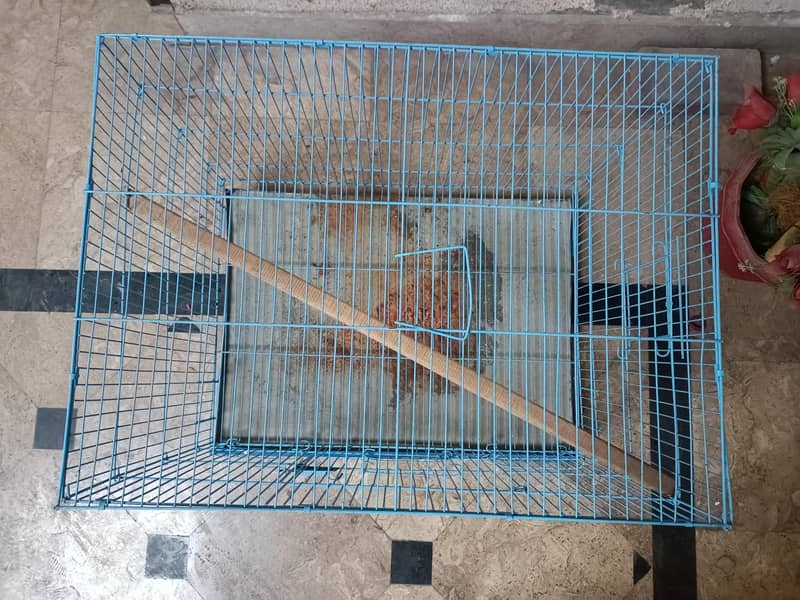 Cages 10