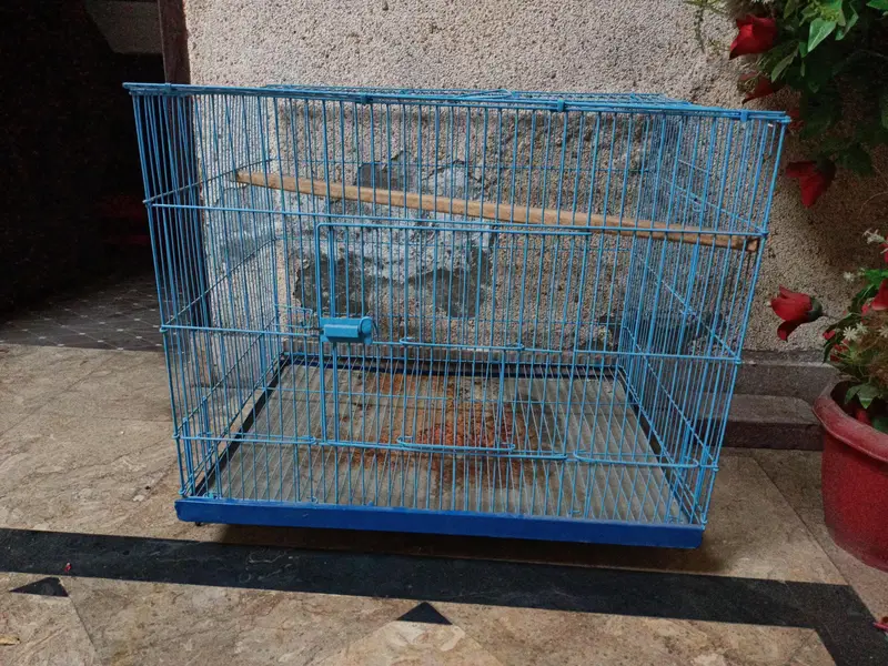 Cages — photo 12