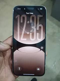 Apple iPhone 15 Pro Max 3