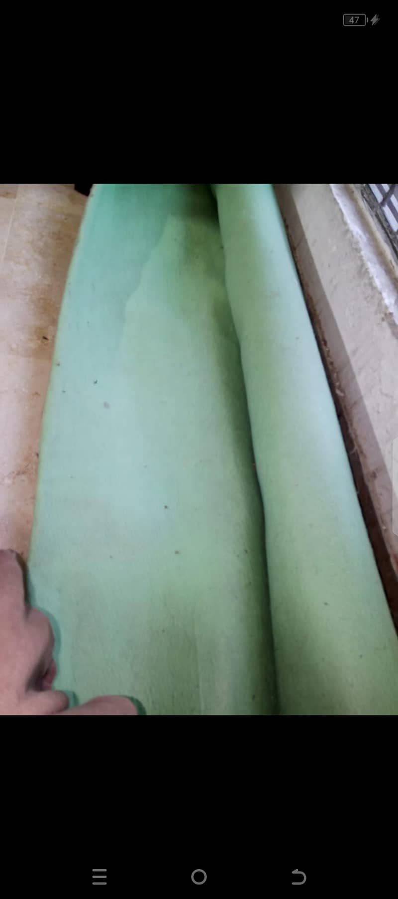 carpet 1