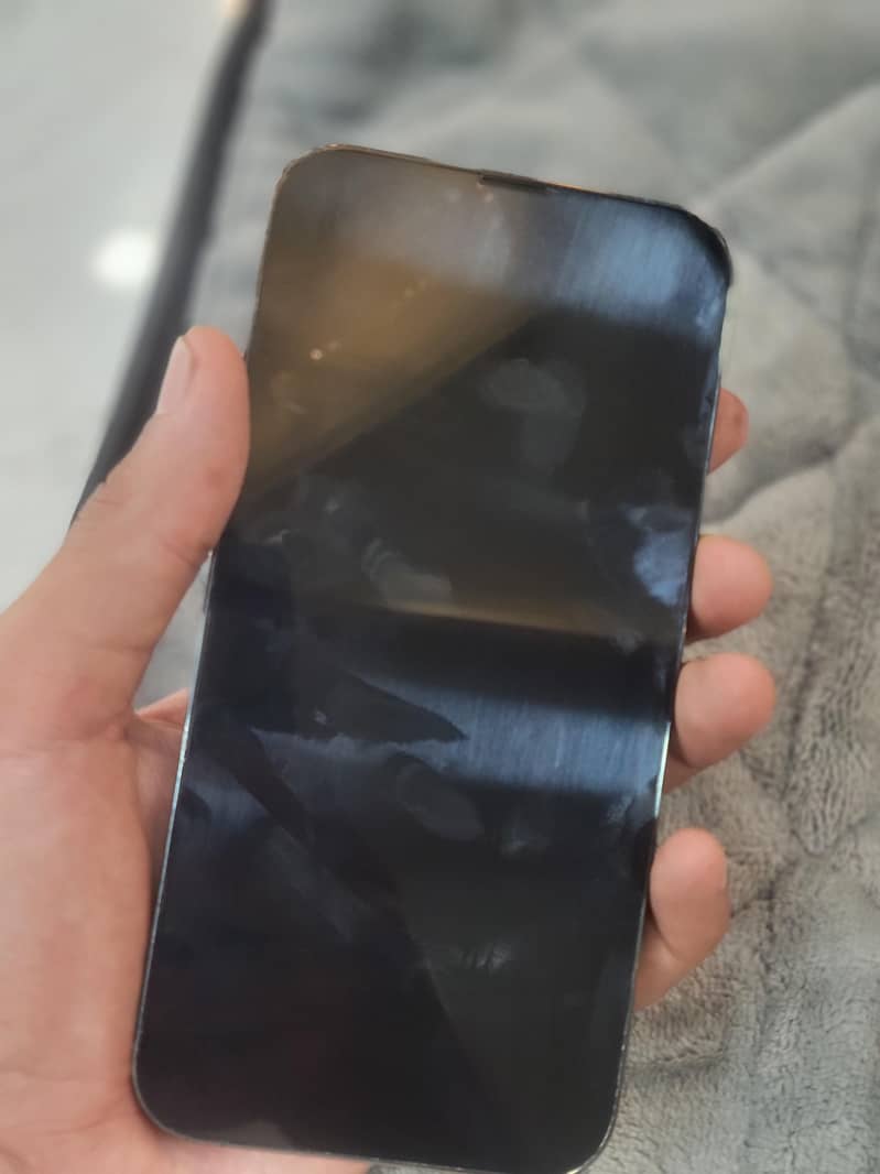 Apple iPhone 13 Pro Max 2