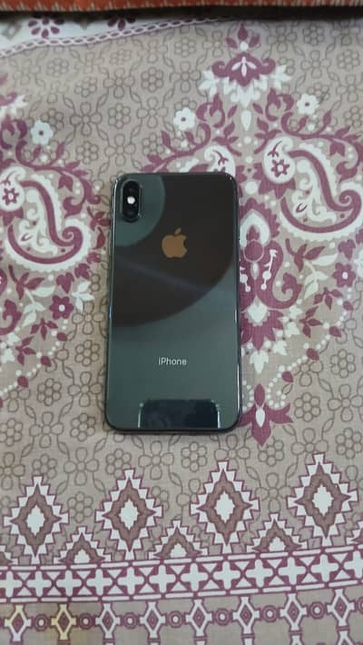 iPhone X bypassed