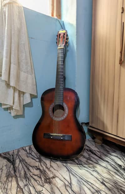 Beginner Acoustic Guitar 