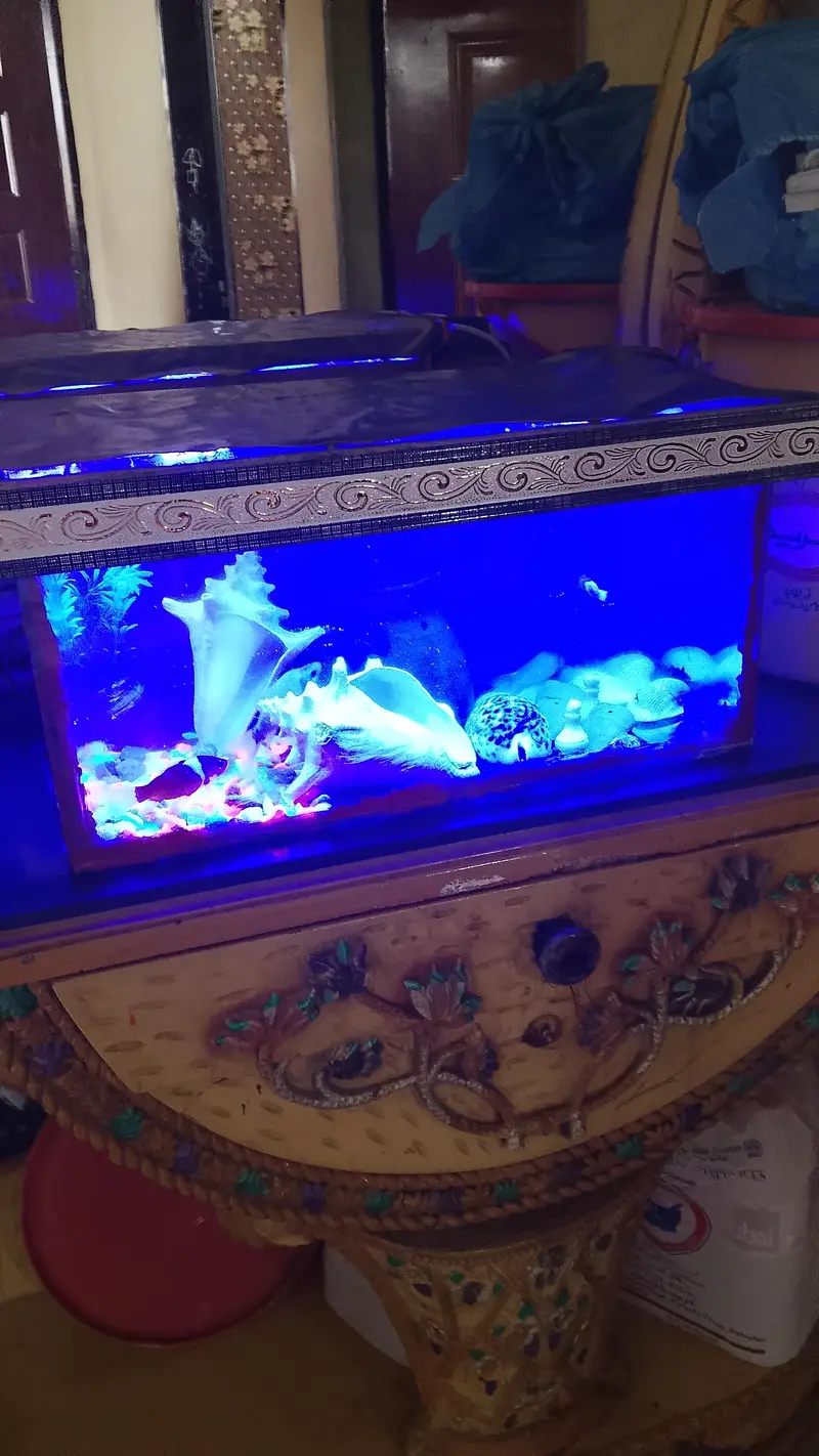 aquarium