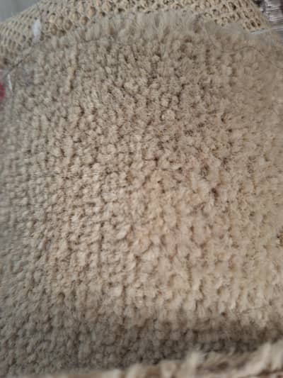 used carpet in beige