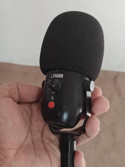 Professional Condenser Microphone