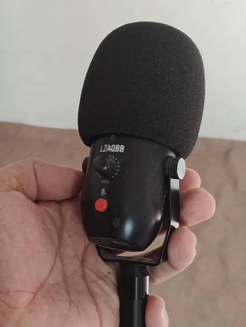 Professional Condenser Microphone 0