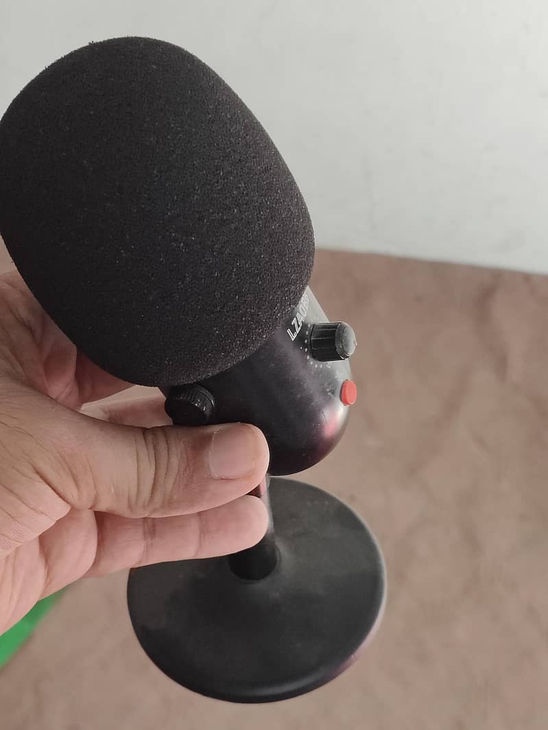Professional Condenser Microphone 1