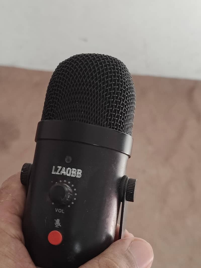 Professional Condenser Microphone 2