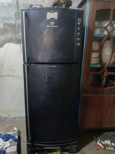 Dowlance Refrigerator H Zone