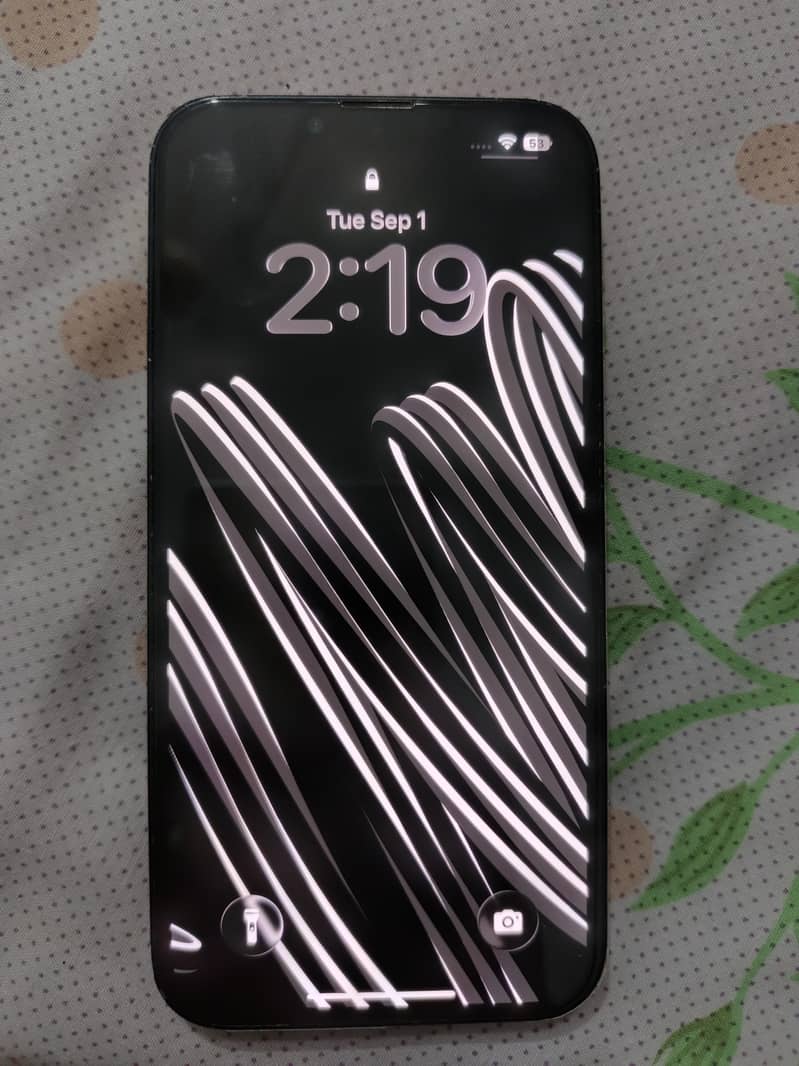 Apple iPhone 13 0