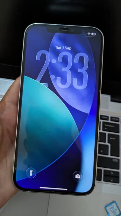 Apple iPhone 12 Pro Max non pta