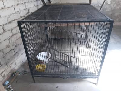 parrot cage only 17000 thousand without discount