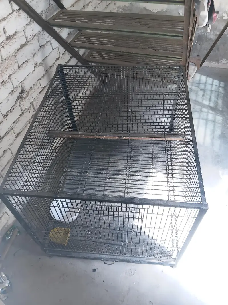 parrot cage only 17000 thousand without discount — photo 3