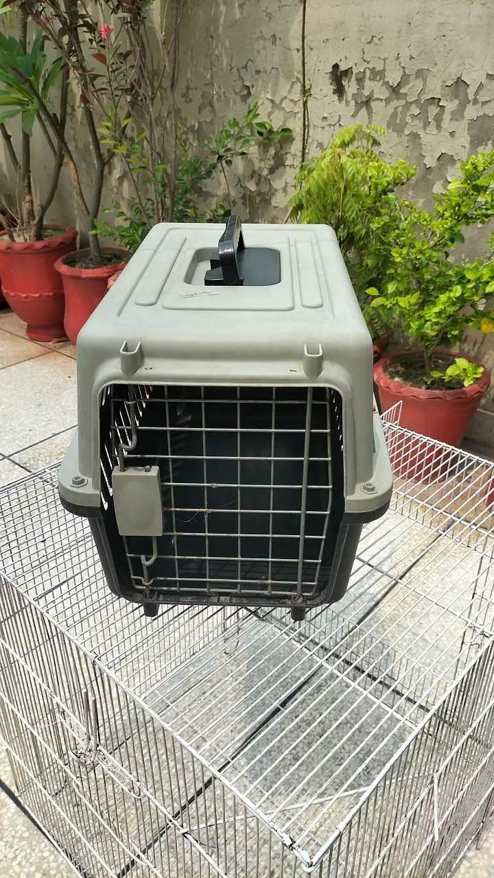 Cat cage — photo 2