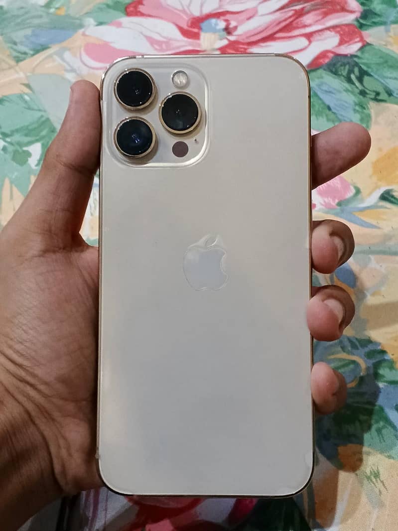 Apple iPhone 13 Pro Max 0