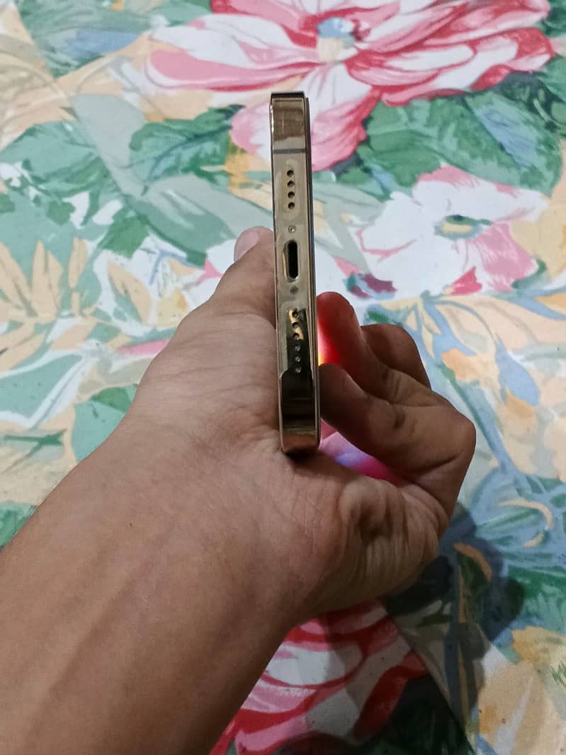 Apple iPhone 13 Pro Max 2