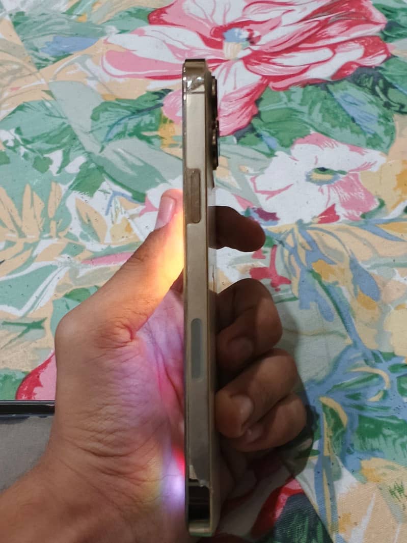 Apple iPhone 13 Pro Max 3