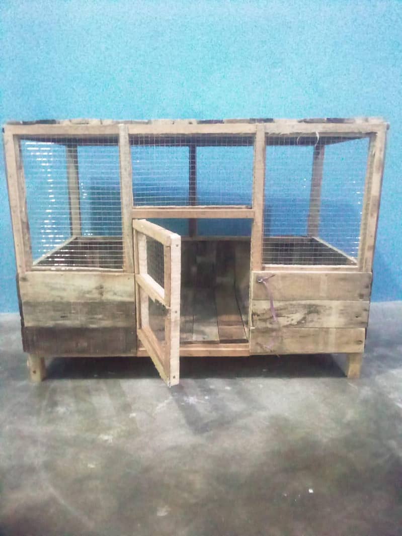 hen's cage 1