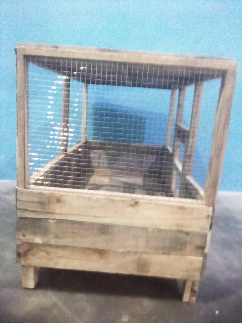 hen's cage 3