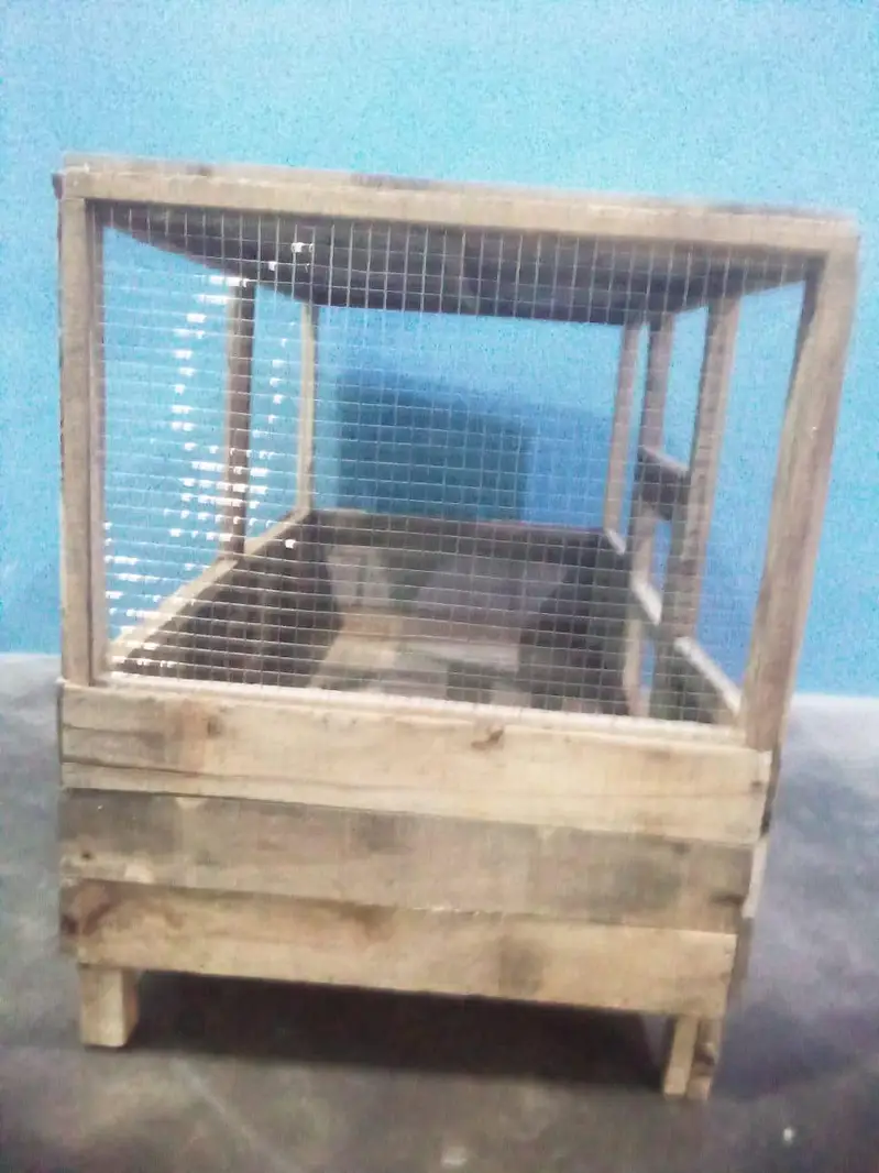 hen's cage — photo 4