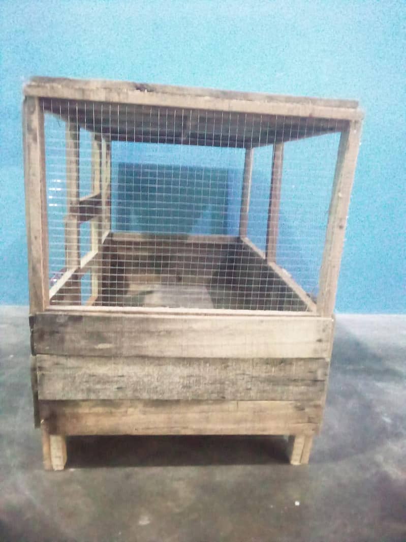 hen's cage 4