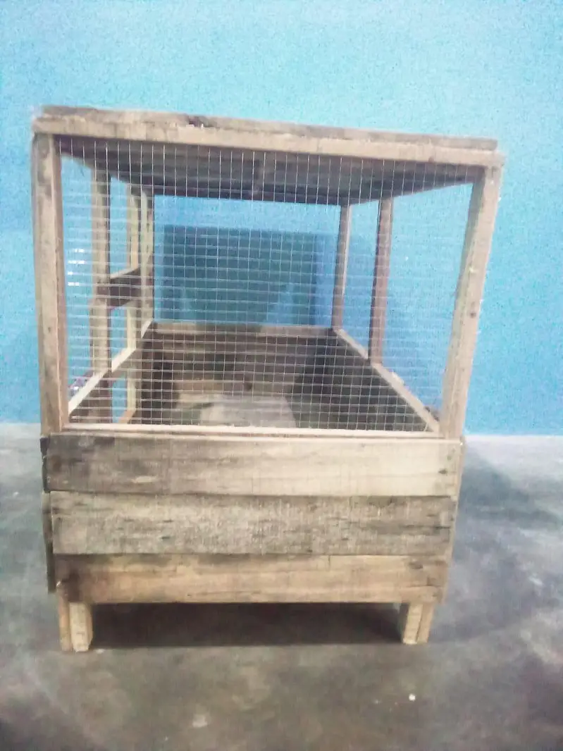 hen's cage — photo 5