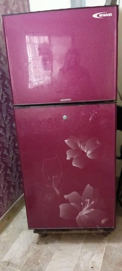 fridge medium size