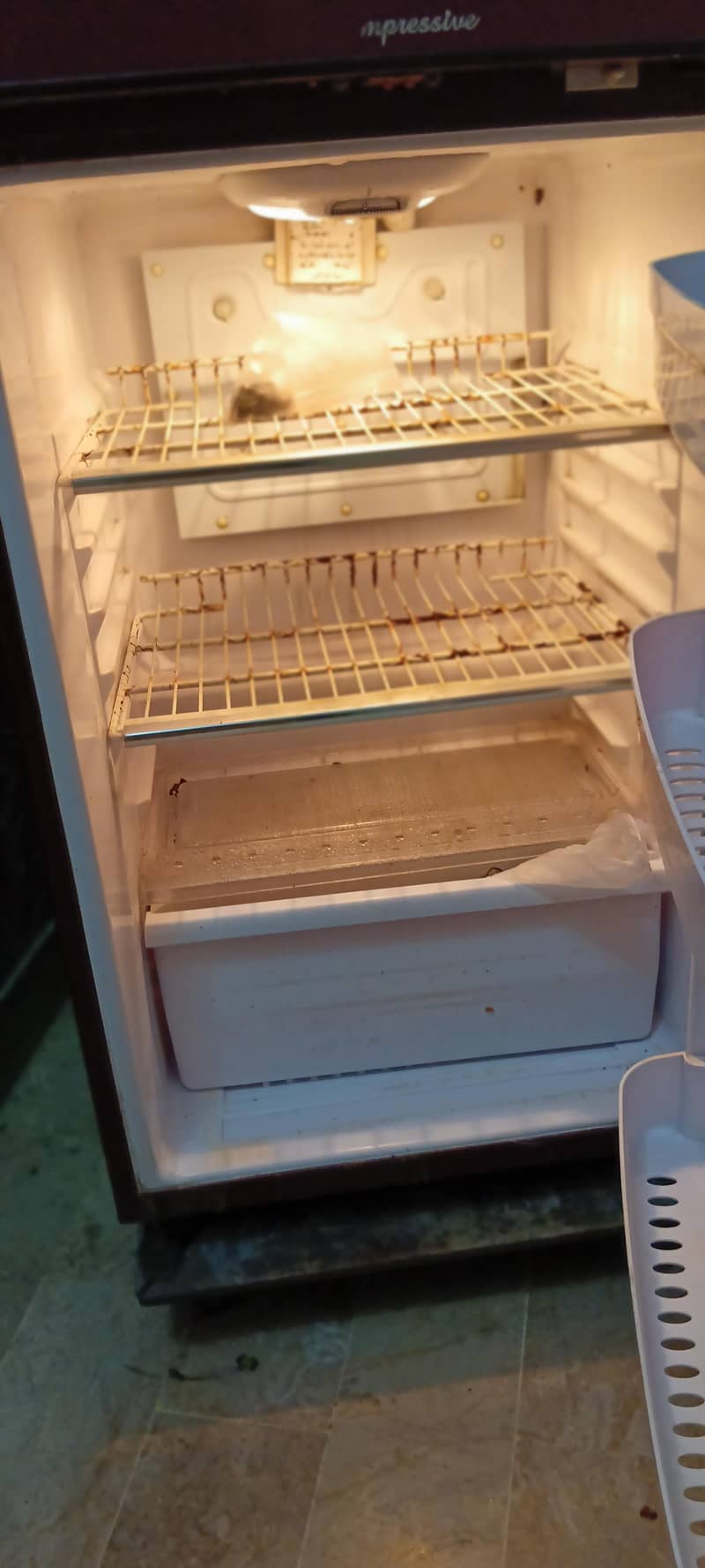 fridge medium size 4