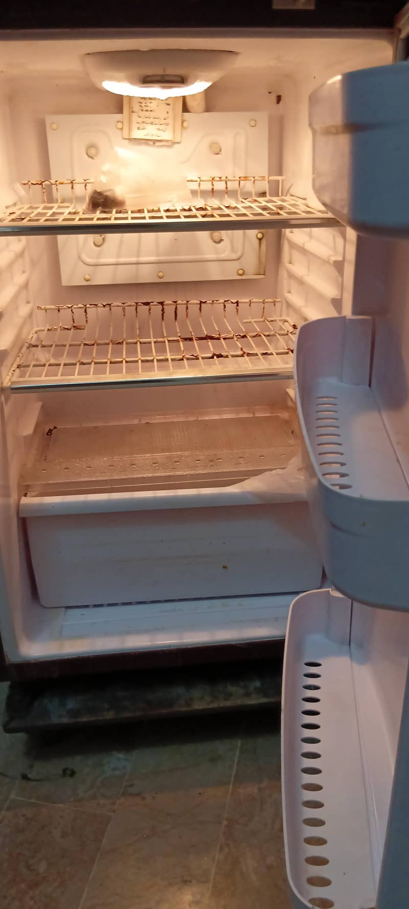 fridge medium size 5