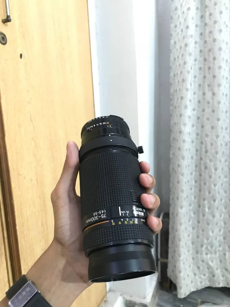 Nikon D80 1