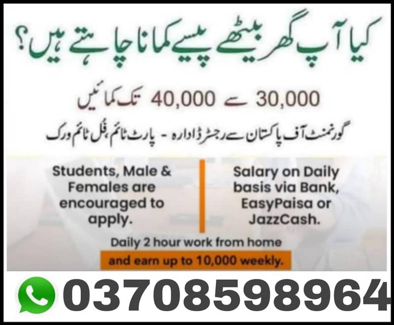 online earning 0