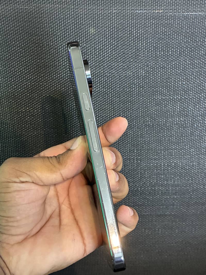 Google Pixel 9 Pro XL 1