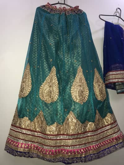 Multi coloured lehnga