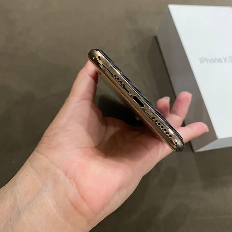 Apple iPhone XS Max 2