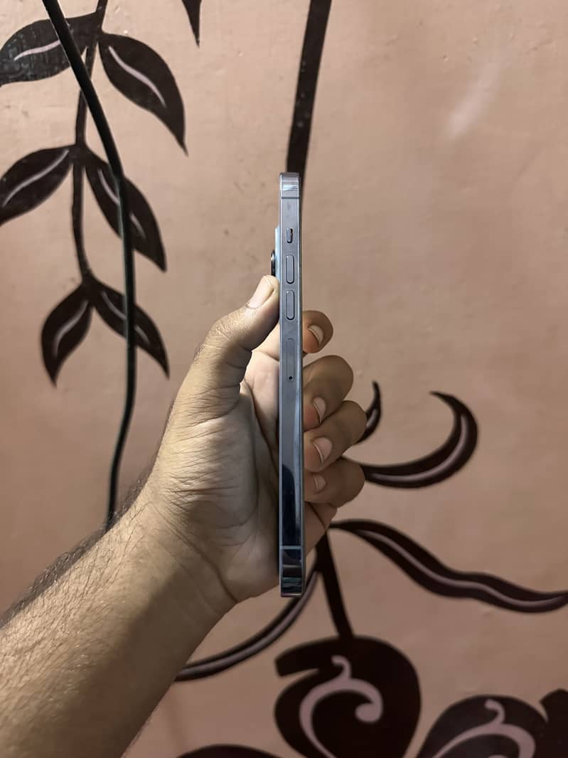 Apple iPhone 13 Pro Max 0